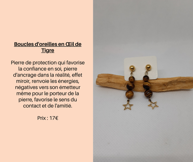 114- Boucles d'Oreilles en Œil de Tigre