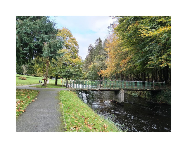 The Bridge, The Demense, Castlerea, County Roscommon. 5" x 7 " Blank Greeting card with envelope. includes postage to all of Ireland.

