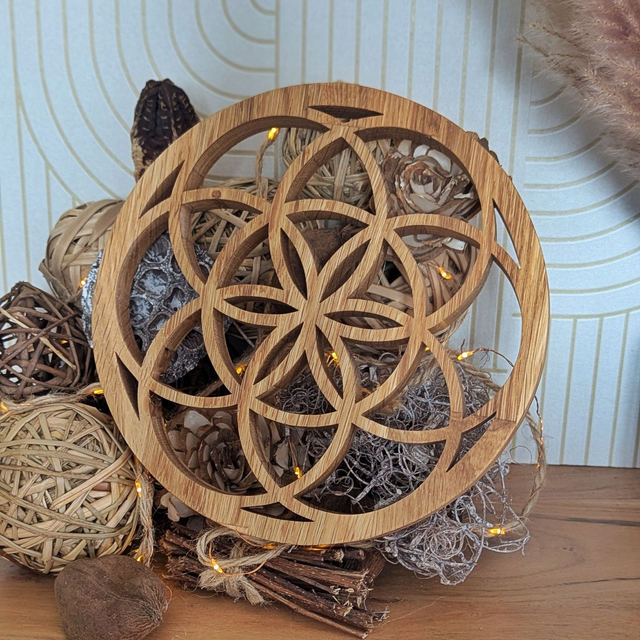 Graine de vie en chêne