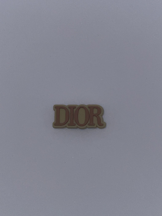 B/Brown Dior T Charm