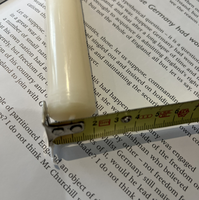 Hand painted bee tapered candle