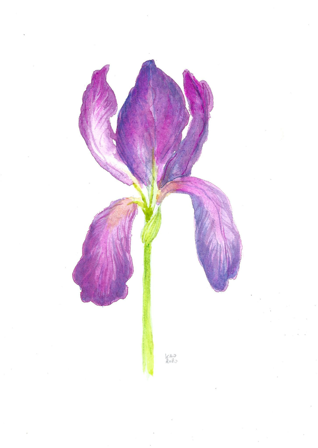 Aquarelle originale fleur