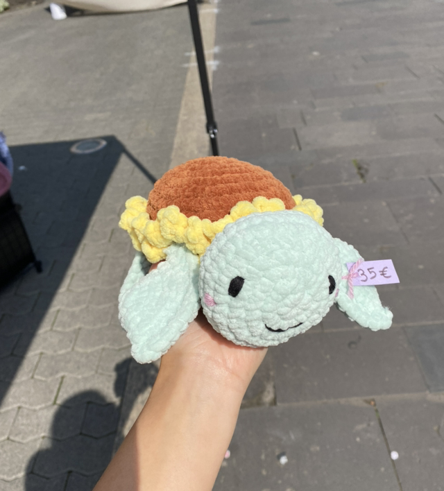 Tortue tournesol 🌻🐢