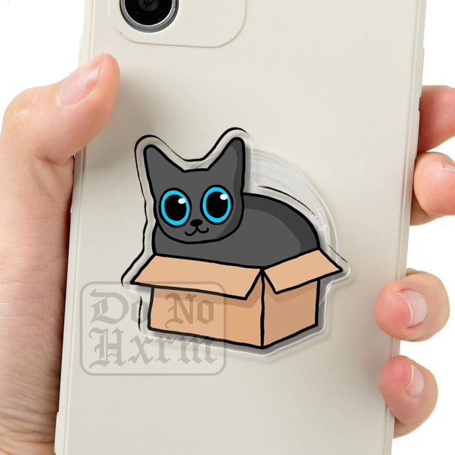 Cat In A Box Clear Acrylic Phone Grip