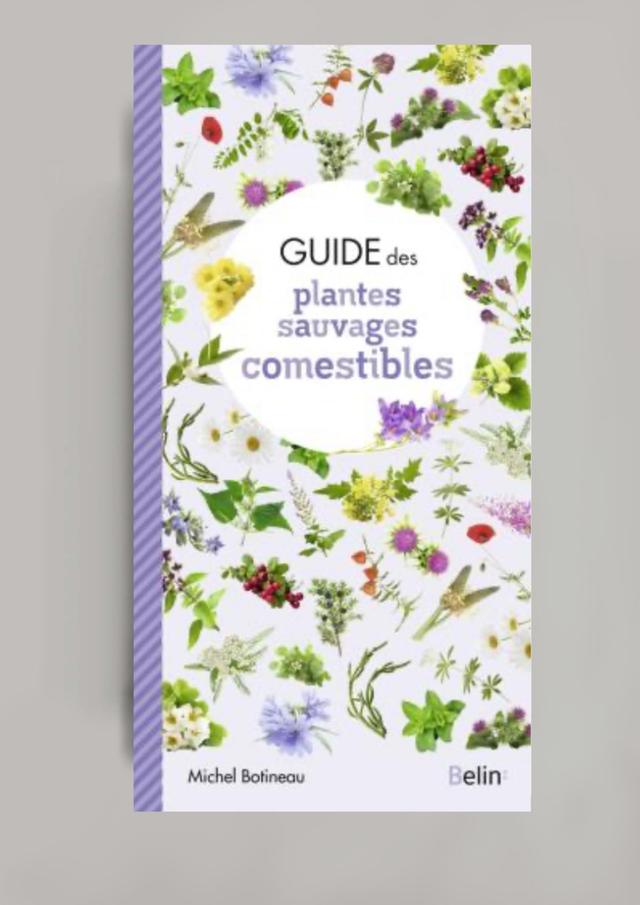 Guide des plantes sauvages comestibles (BELIN:)