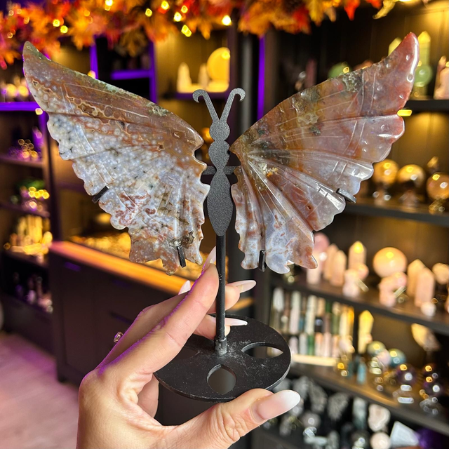 Ocean Jasper Butterfly Wings R57H21