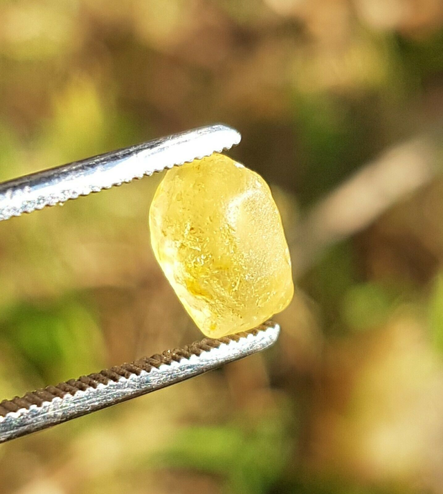 Saphir brut jaune du Sri Lanka 2,60ct yellow sapphire unheated gemstones ceylon