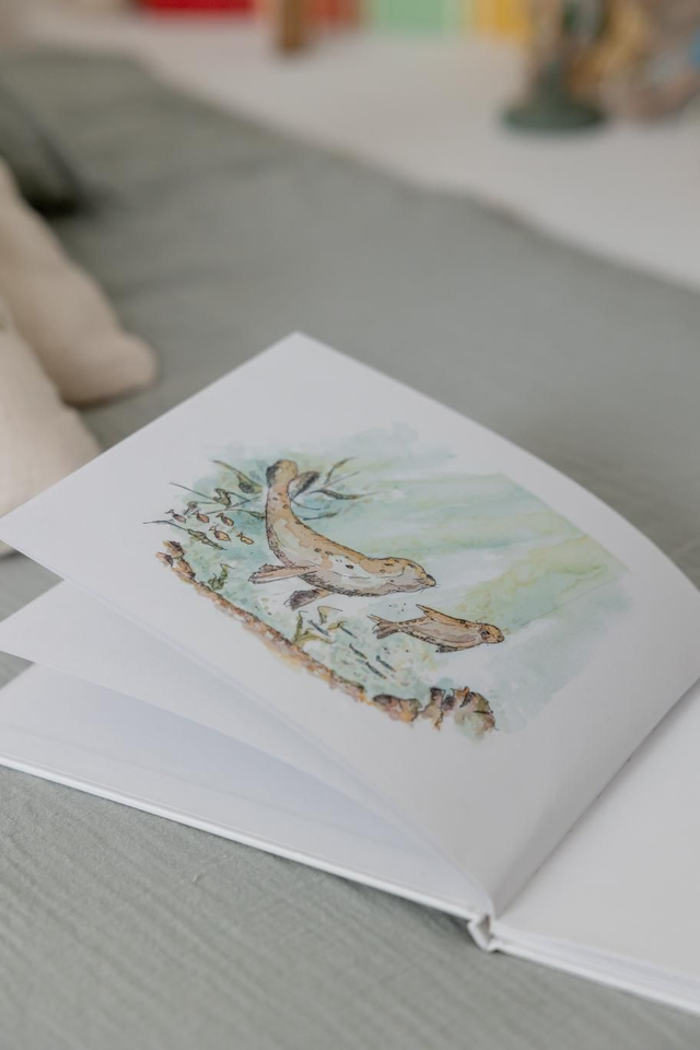 Carte illustrée - Grand Phoque et Petit Phoque