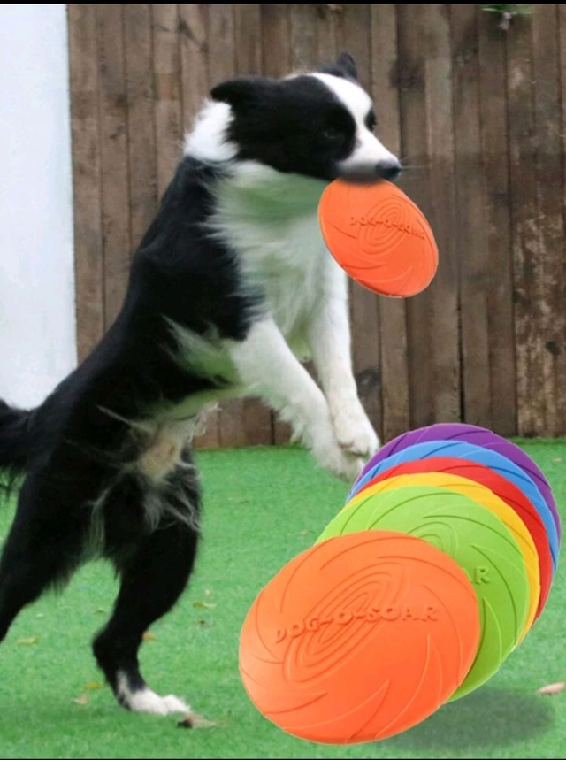 frisbee