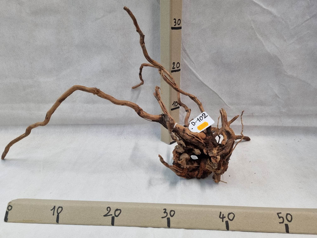 Racine Dragon Skin D-102