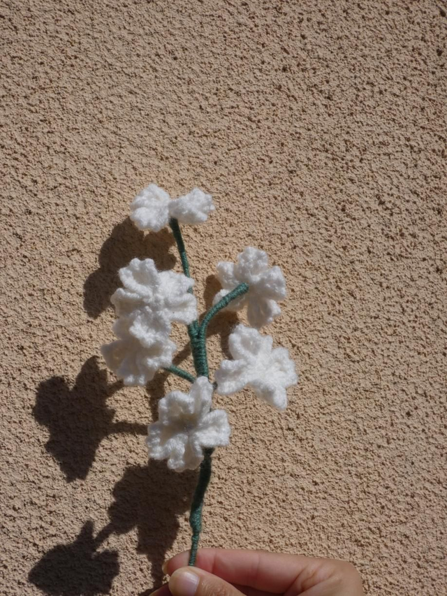 Tige de sakura blanc