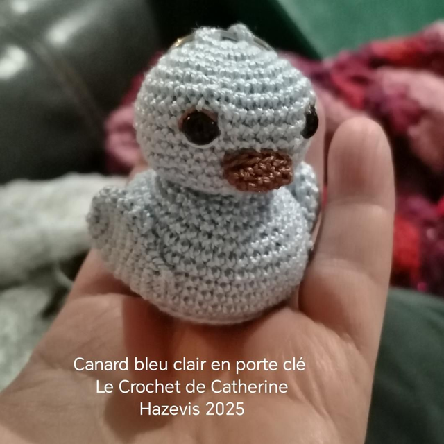 2025 Canard bleu clair en porte clé 