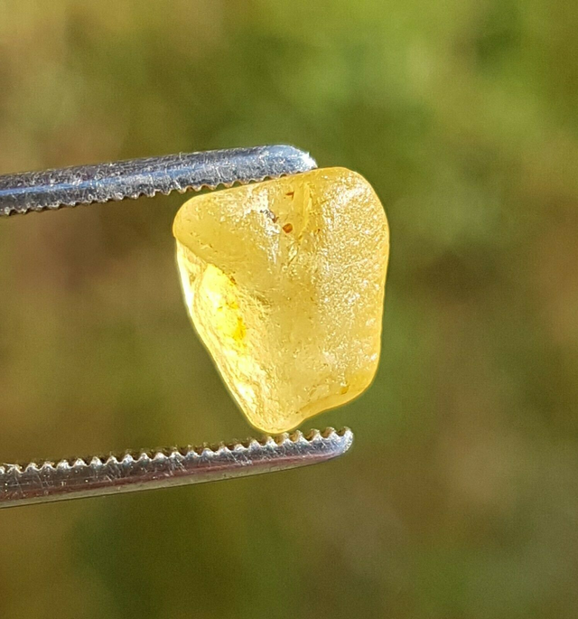 Saphir brut jaune du Sri Lanka 3,50ct yellow sapphire unheated gemstones ceylon