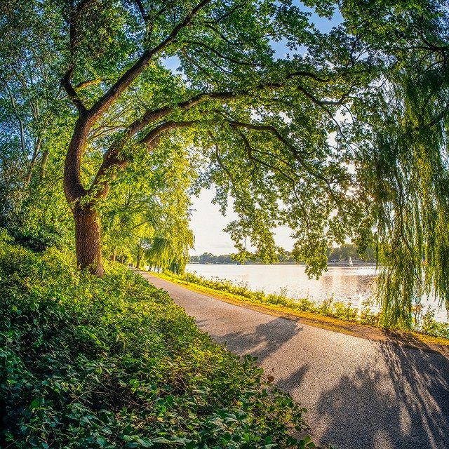 Uferweg am Aasee