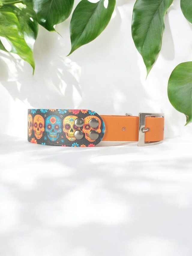 Collier pour chien en BioThane® Original USA. Calaveras C294 / Blunt