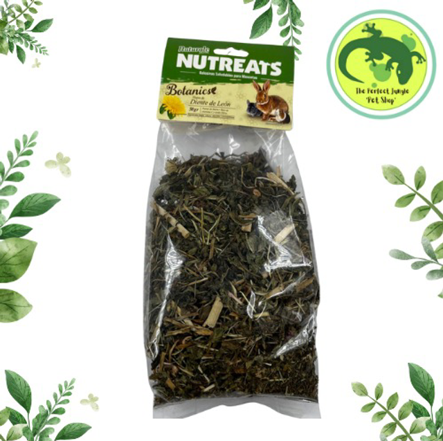 Hojas de Diente de León Naturale