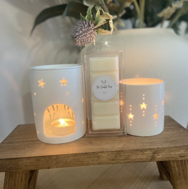 Dove - Wax Melt Snap Bar