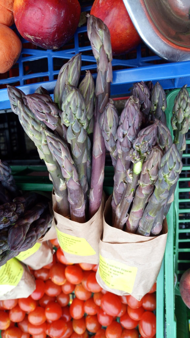 Espárrago morado