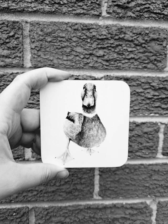 Duck Coaster 