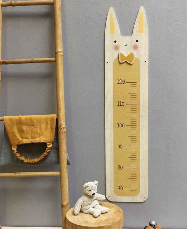 Toise Mr Lapin curry