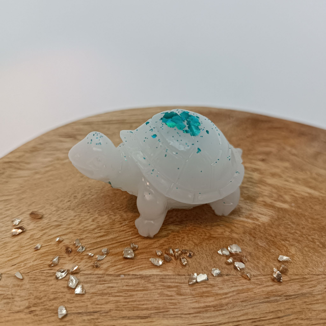 Tortue - Blanc et Bleu