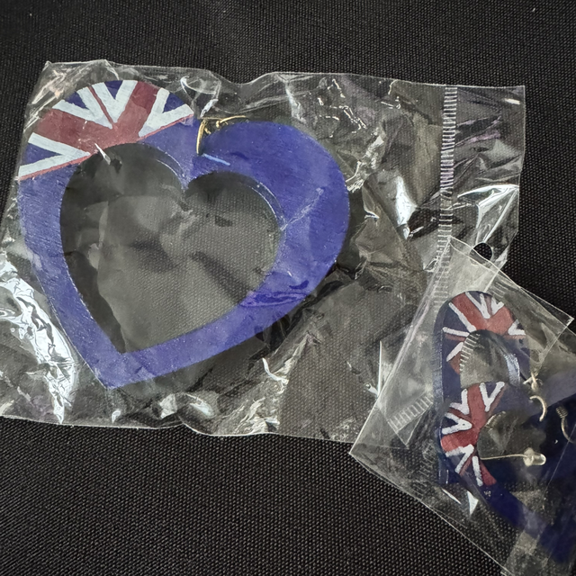 Montserrat Painted Earring  