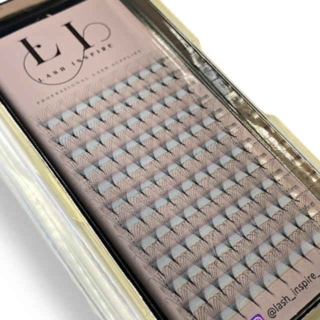 Dark Brown Pre-fan Lashes