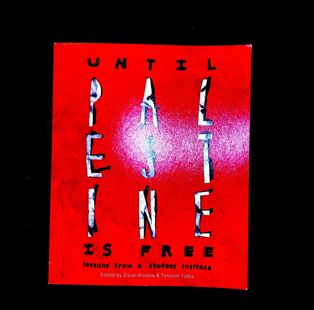 Until Palestine is Free: lessons from a student intifada