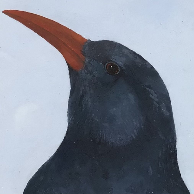 SP59 Chough by Shelagh Popham, 3.5 x 4" Oil