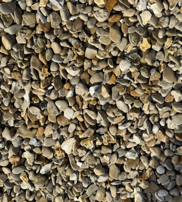 GRAVILLON ROULÉ 10/16