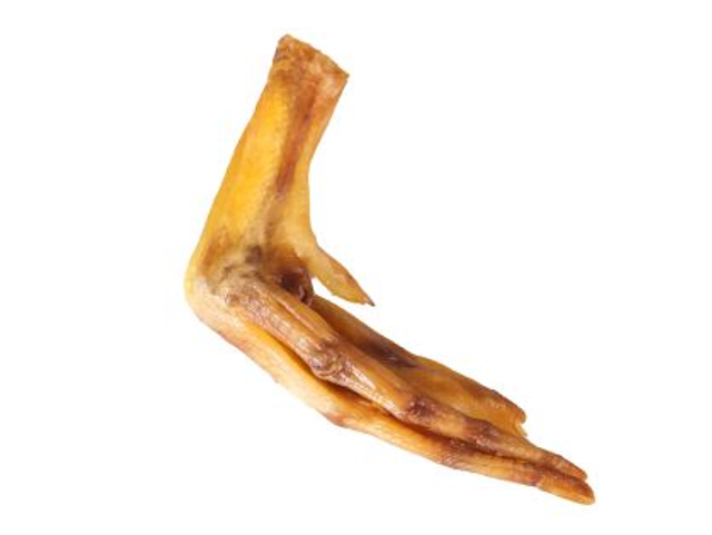 Patte de canard (1 pièce)