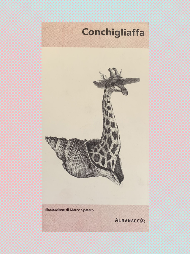 CONCHIGLIAFFA