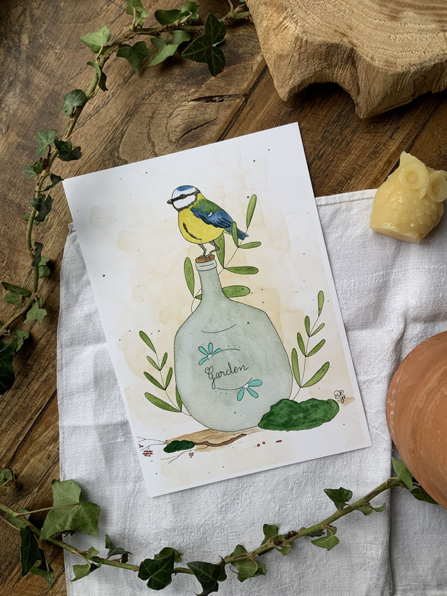 Reproduction A5 « Mésange curieuse »