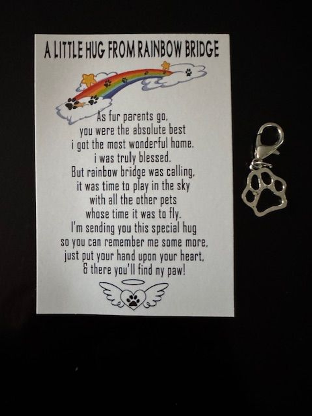 Pet Remembrance Pocket Hug Keepsakes 