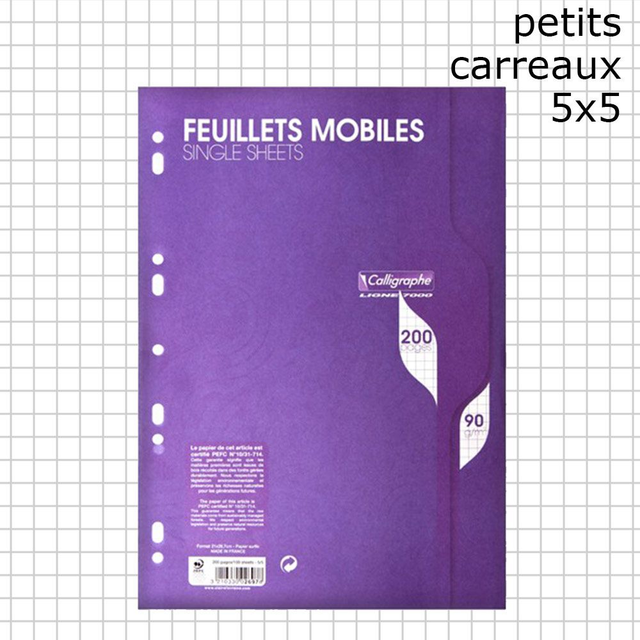 200 pages Feuilles simples petits carreaux A4 90g