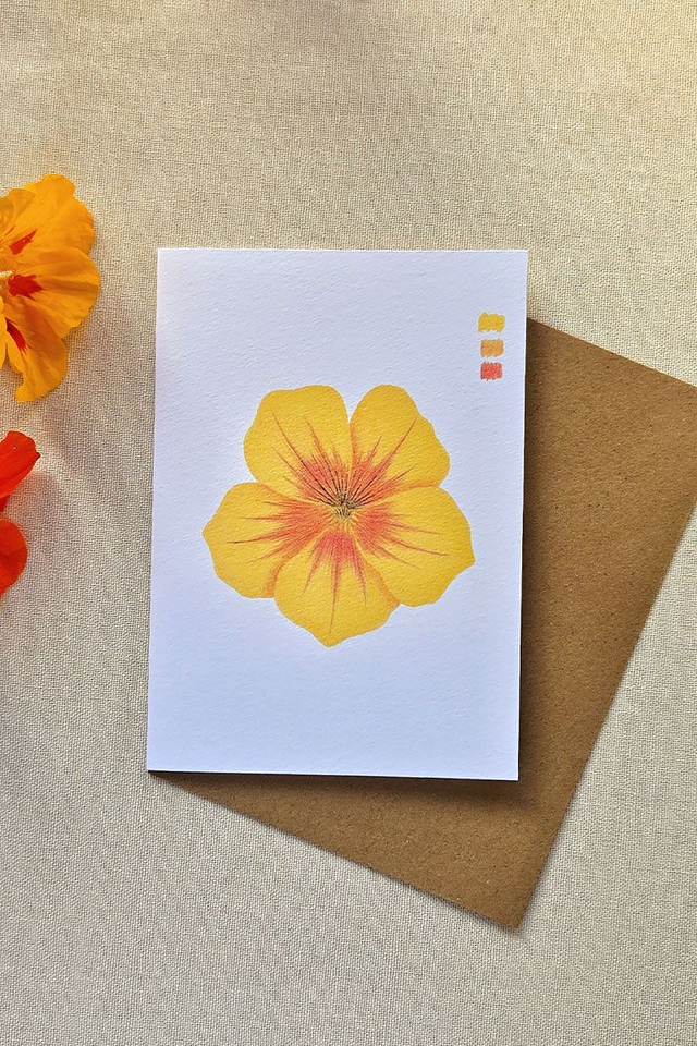 Carte au crayon de couleur - Fleur de Capucine