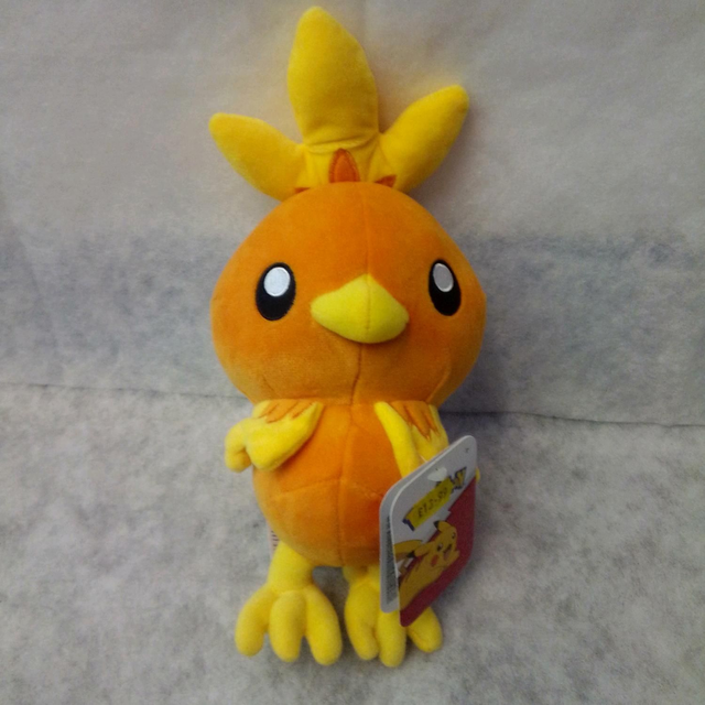 Torchic 