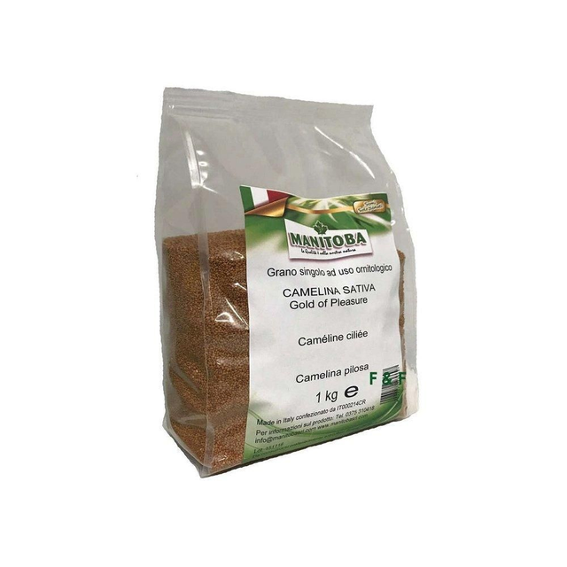 Semi di Camelina 1 kg Manitoba 