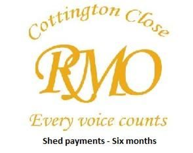 Your shed - six months