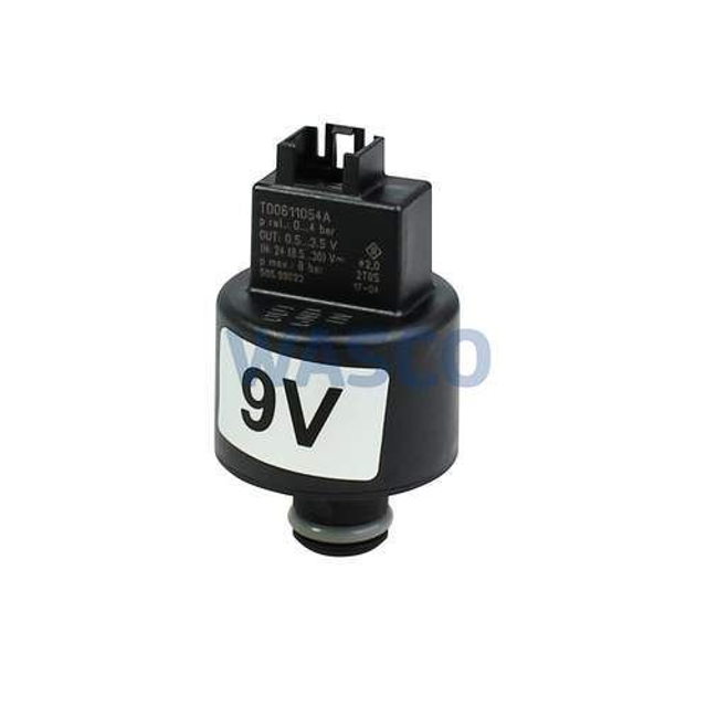 8718600019 Druksensor (1)