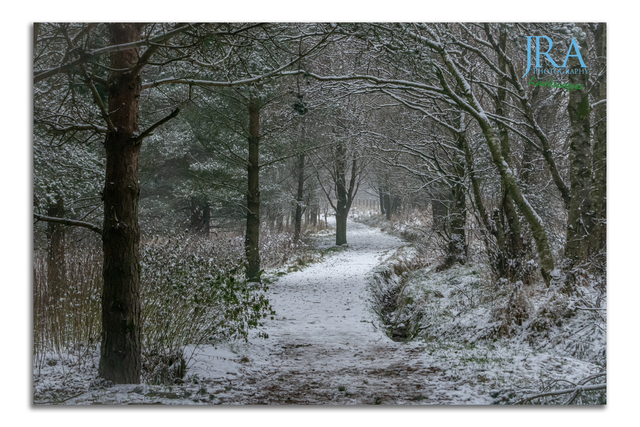 Walking in a winter wonderland