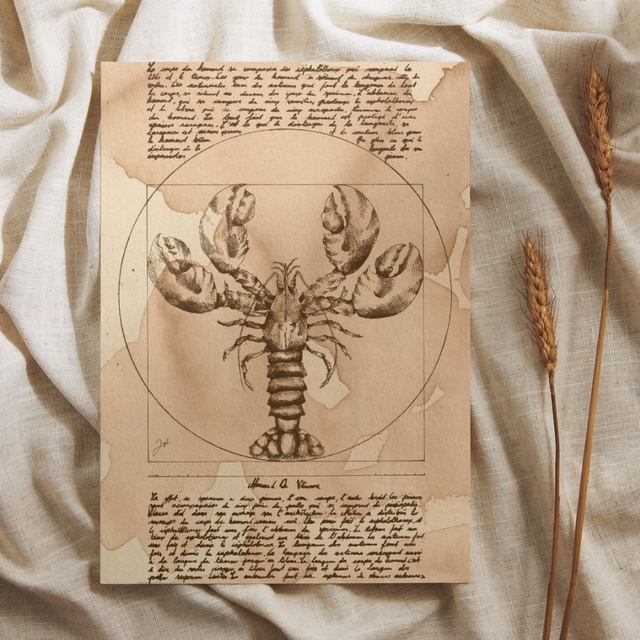 Carte postale - Café - Homard de Vitruve