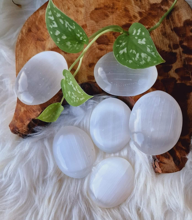 Selenite Palm