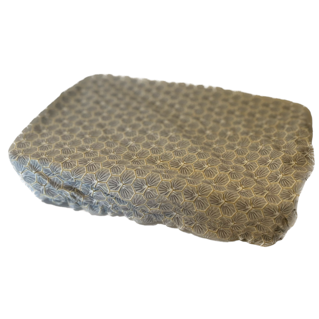 Charlotte à plat rectangle