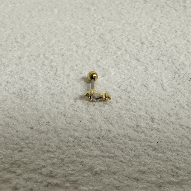 PIERCING D’OREILLE DESLUMBRANTE 