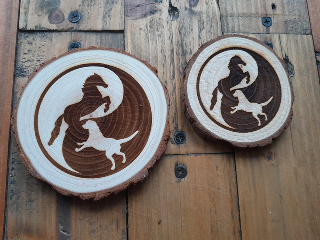 RONDIN YIN et YANG CHIEN et CHEVAL