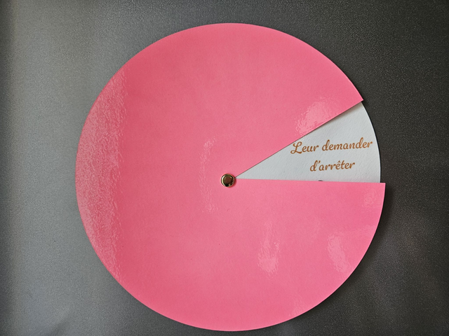 Roue des solutions face à un problème