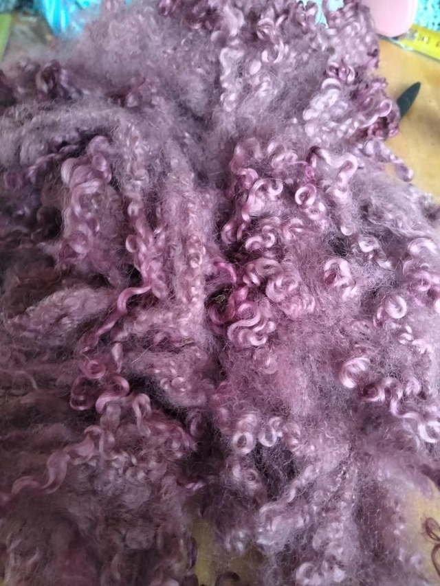 Morceau de toison BFL 93g Boucles0006