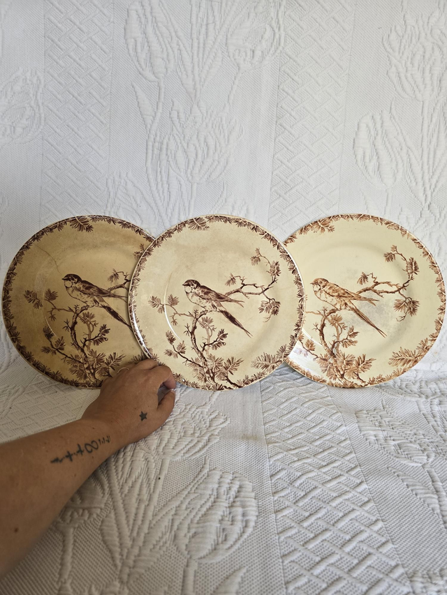 Assiettes plates terre de fer Gien 