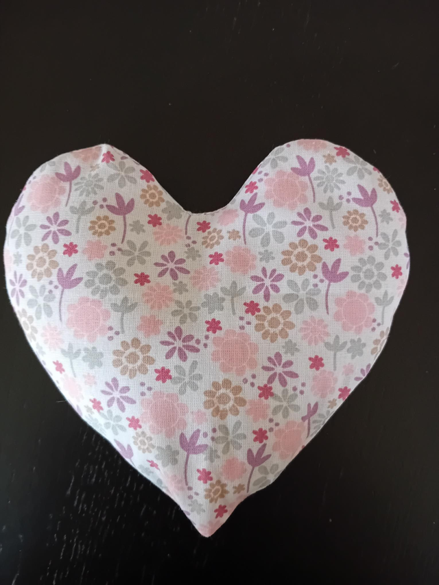Bouillotte sèche cœur 